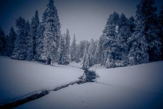 Winterliche Idylle auf dem Moorbärpfad im tiefverschneiten Kaltbad.