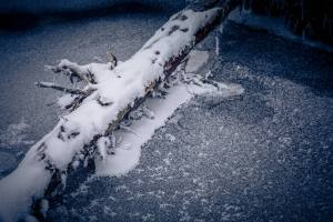 Winterliche Idylle auf dem Moorbärpfad im tiefverschneiten Kaltbad.